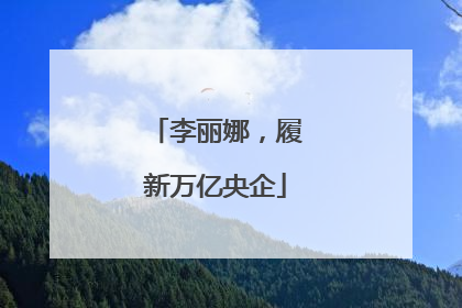 李丽娜，履新万亿央企