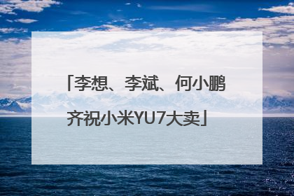 李想、李斌、何小鹏齐祝小米YU7大卖