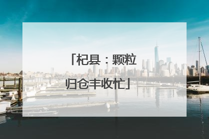 杞县：颗粒归仓丰收忙