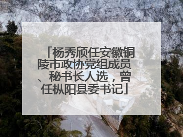 杨秀颀任安徽铜陵市政协党组成员、秘书长人选，曾任枞阳县委书记