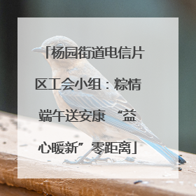 杨园街道电信片区工会小组：粽情端午送安康 “益心暖新”零距离