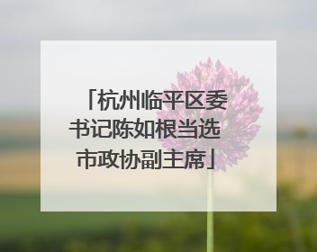 杭州临平区委书记陈如根当选市政协副主席