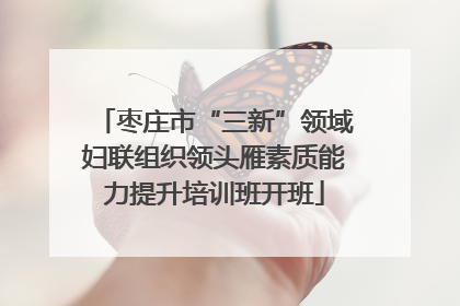 枣庄市“三新”领域妇联组织领头雁素质能力提升培训班开班