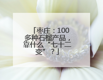 枣庄：100多种石榴产品，靠什么“七十二变”？