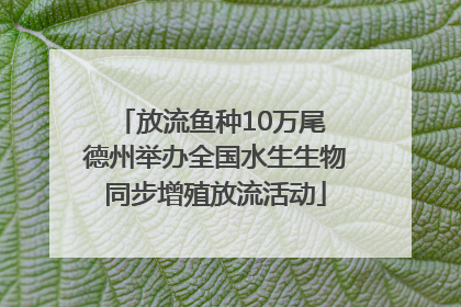 放流鱼种10万尾 德州举办全国水生生物同步增殖放流活动