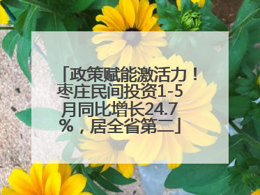 政策赋能激活力！枣庄民间投资1-5月同比增长24.7%，居全省第二