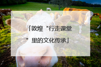 敦煌“行走课堂”里的文化传承