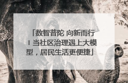 数智普陀 向新而行〡当社区治理遇上大模型，居民生活更便捷
