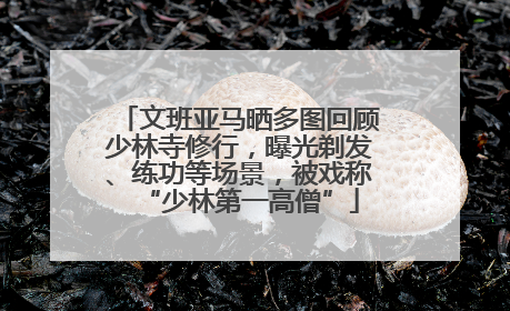 文班亚马晒多图回顾少林寺修行，曝光剃发、练功等场景，被戏称“少林第一高僧”