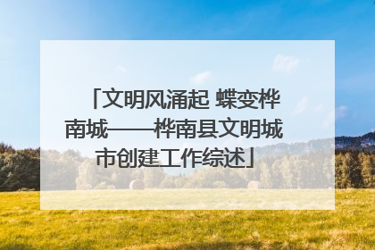 文明风涌起 蝶变桦南城——桦南县文明城市创建工作综述