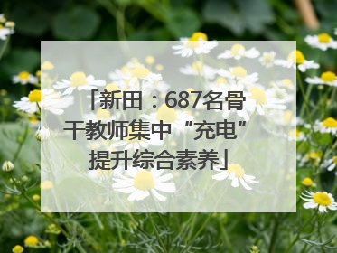 新田：687名骨干教师集中“充电” 提升综合素养