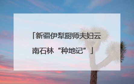新疆伊犁厨师夫妇云南石林“种地记”