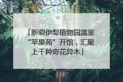 新疆伊犁植物园温室“苹果苑”开馆，汇聚上千种奇花异木