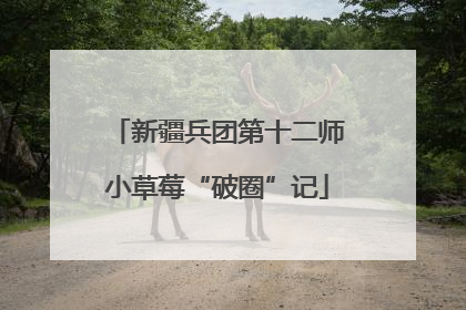 新疆兵团第十二师小草莓“破圈”记