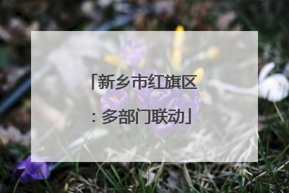 新乡市红旗区：多部门联动