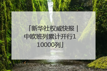 新华社权威快报｜中欧班列累计开行110000列