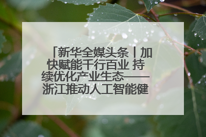 新华全媒头条丨加快赋能千行百业 持续优化产业生态——浙江推动人工智能健康有序发展观察