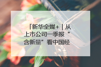 新华全媒+｜从上市公司一季报“含新量”看中国经济发展向“新”