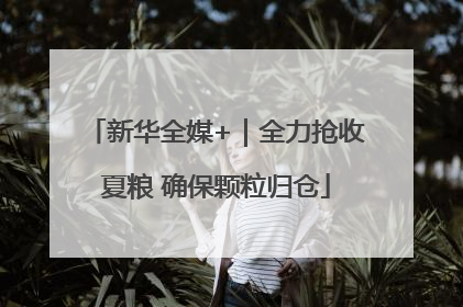 新华全媒+｜全力抢收夏粮 确保颗粒归仓