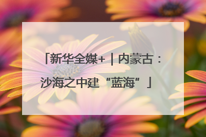 新华全媒+｜内蒙古：沙海之中建“蓝海”