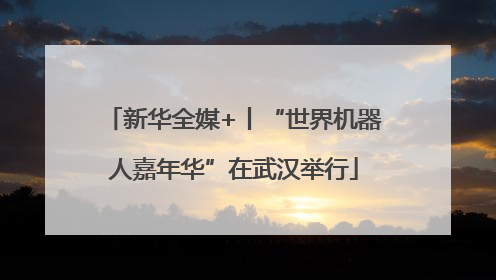 新华全媒+丨“世界机器人嘉年华”在武汉举行