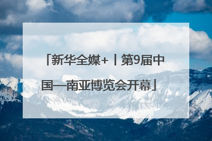 新华全媒+丨第9届中国—南亚博览会开幕
