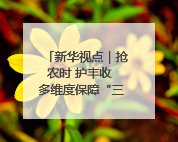 新华视点｜抢农时 护丰收 多维度保障“三夏”生产