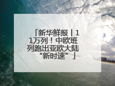 新华鲜报丨11万列！中欧班列跑出亚欧大陆“新时速”