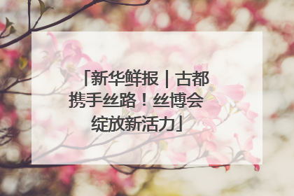 新华鲜报｜古都携手丝路！丝博会绽放新活力