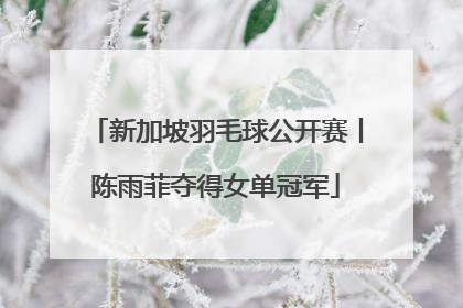 新加坡羽毛球公开赛丨陈雨菲夺得女单冠军