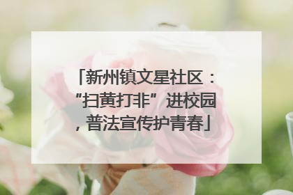新州镇文星社区：“扫黄打非”进校园，普法宣传护青春