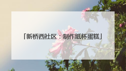 新桥西社区：制作纸杯蛋糕