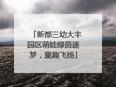 新都三幼大丰园区萌娃绿茵逐梦，童趣飞扬