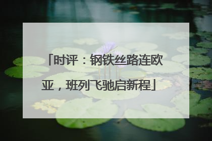 时评：钢铁丝路连欧亚，班列飞驰启新程