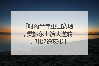 时隔半年重回赛场，樊振东上演大逆转，3比2徐瑛彬
