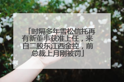时隔多年雪松信托再有新董事获准上任，来自二股东江西金控，前总裁上月刚被罚