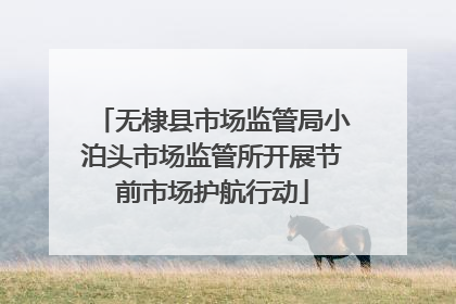 无棣县市场监管局小泊头市场监管所开展节前市场护航行动