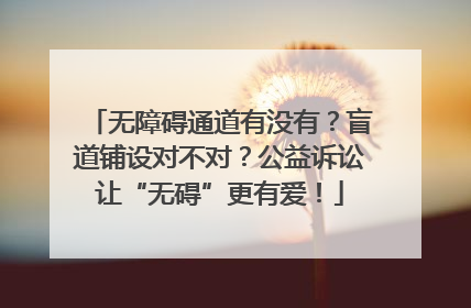 无障碍通道有没有？盲道铺设对不对？公益诉讼让“无碍”更有爱！