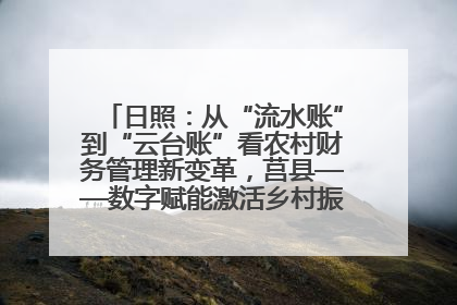 日照：从“流水账”到“云台账”看农村财务管理新变革，莒县——数字赋能激活乡村振兴“一池春水”