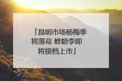 昆明市场杨梅季将落幕 蜂糖李即将接档上市