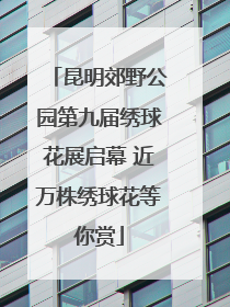 昆明郊野公园第九届绣球花展启幕 近万株绣球花等你赏