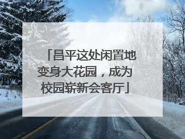 昌平这处闲置地变身大花园，成为校园崭新会客厅