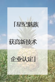 星纪魅族获高新技术企业认定