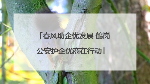 春风助企优发展 鹤岗公安护企优商在行动