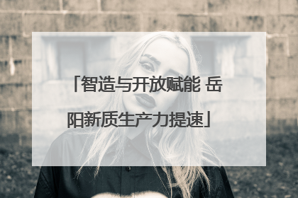 智造与开放赋能 岳阳新质生产力提速