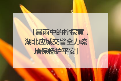 暴雨中的柠檬黄，湖北应城交警全力疏堵保畅护平安