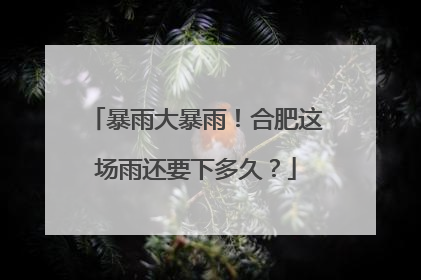 暴雨大暴雨！合肥这场雨还要下多久？