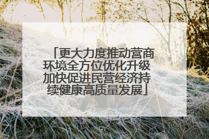 更大力度推动营商环境全方位优化升级加快促进民营经济持续健康高质量发展