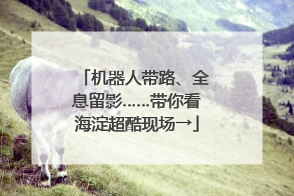 机器人带路、全息留影……带你看海淀超酷现场→