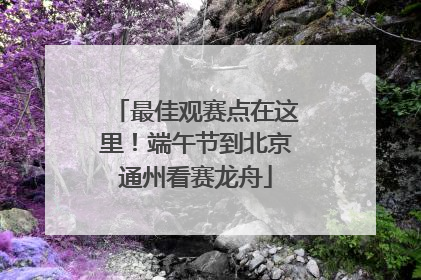 最佳观赛点在这里！端午节到北京通州看赛龙舟